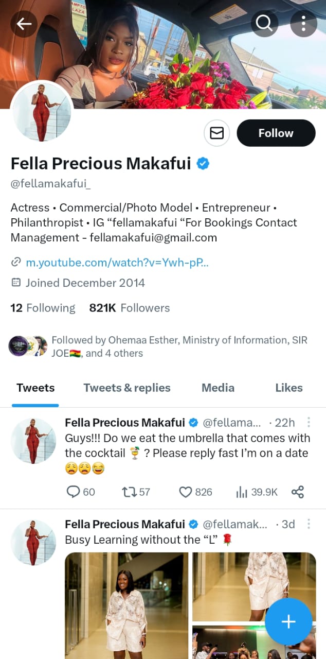 Fella Makafui removes hubby’s last name from social media bio