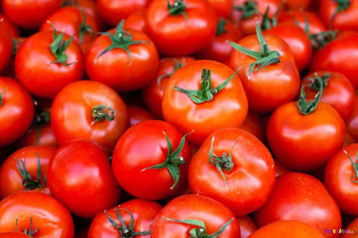 Tomato shortage hits Sunyani, parts of Bono Region