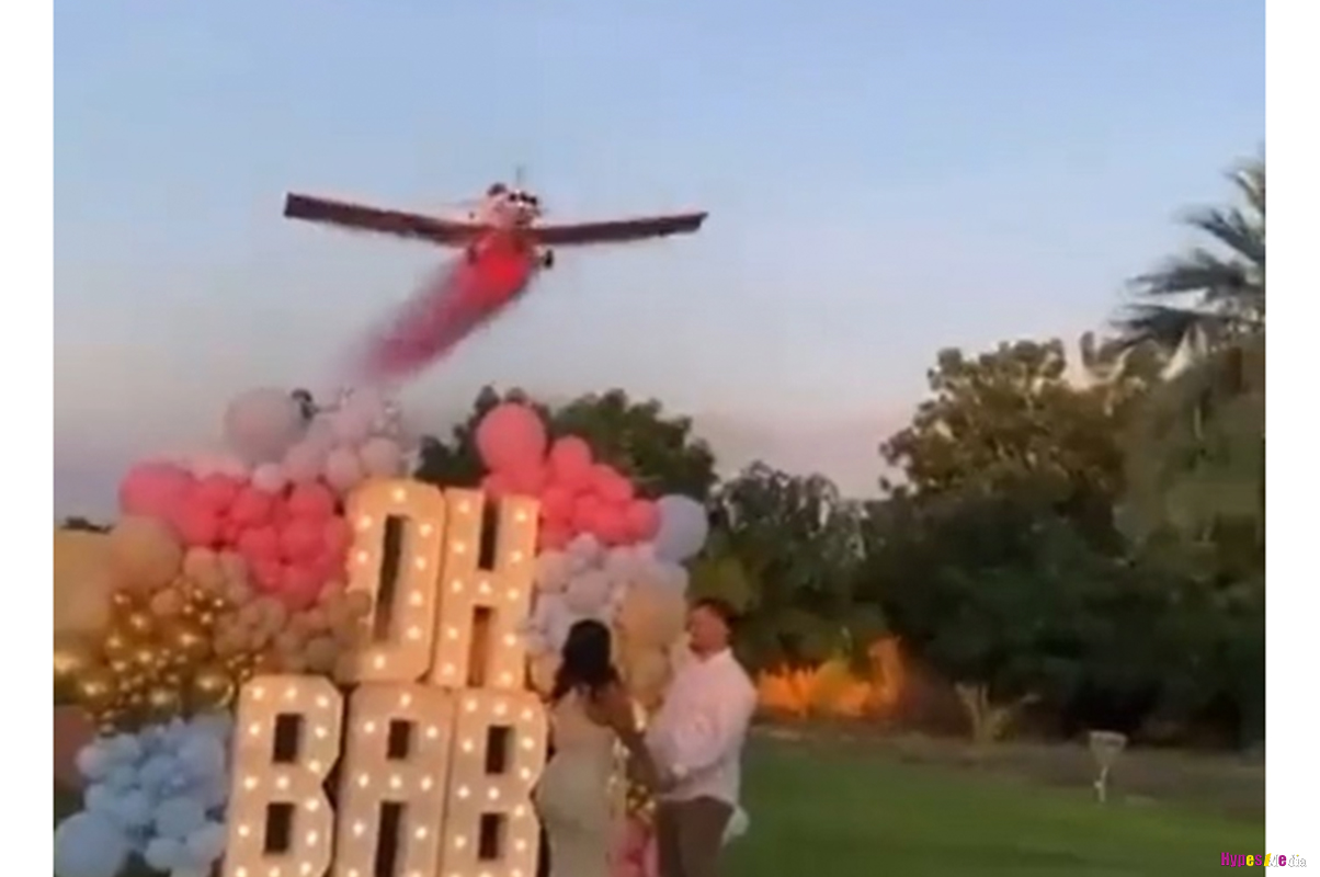 Pilot dies after his plane crashed, during a gender reveal stunt