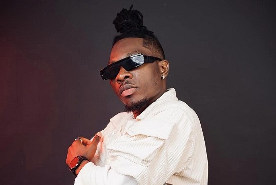 Focus On Talent, Not ''Respect" - Article Wan To Ghanaians