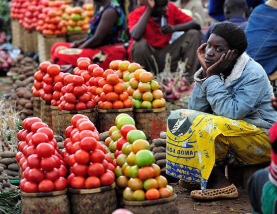 Ghana’s Economy Projected To Grow By 4.5% In 2025 – AfD