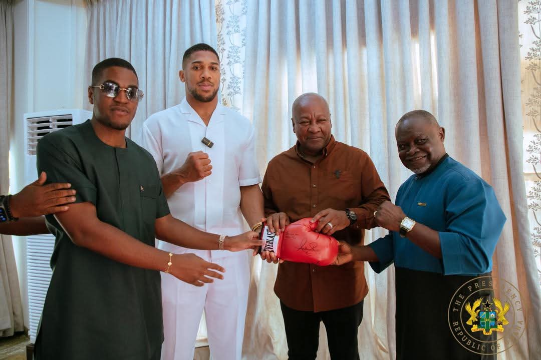 You Will Be Our Ambassador For Boxing In Africa — President Mahama To Anthony Joshua