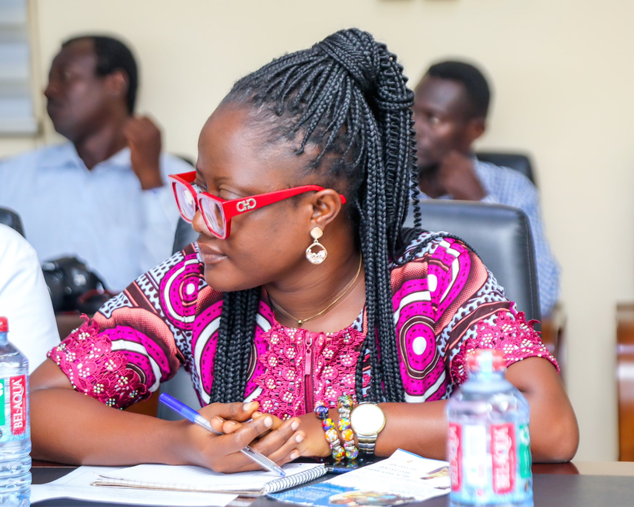 DOVVSU Boss Calls For End To Gender Violence, Urges Witness Support