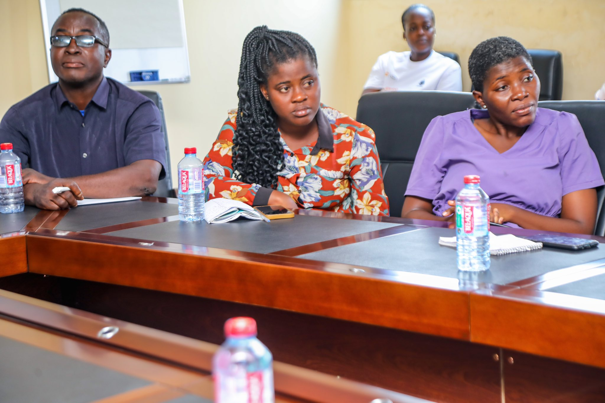 DOVVSU Boss Calls For End To Gender Violence, Urges Witness Support
