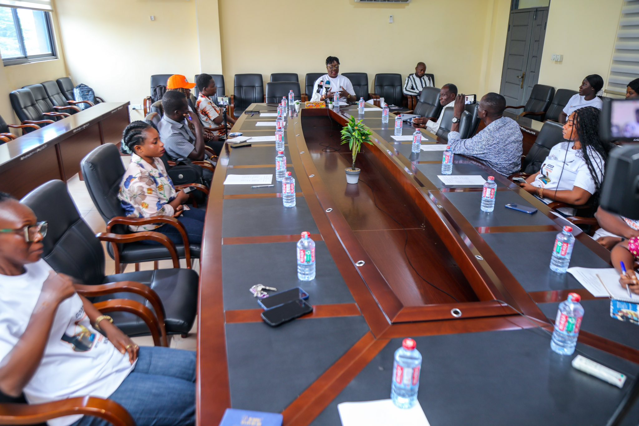 DOVVSU Boss Calls For End To Gender Violence, Urges Witness Support