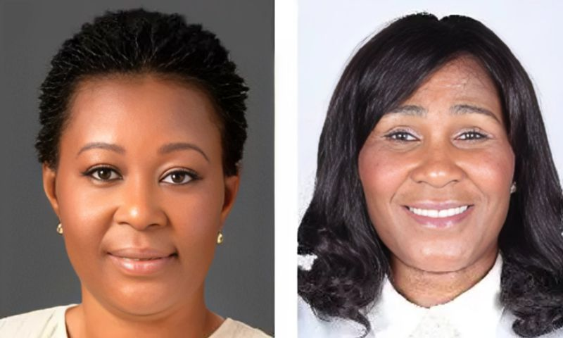 Nana Akua Afriyie Says Sorry To NPP Over Ablekuma North Re-Run Defiance