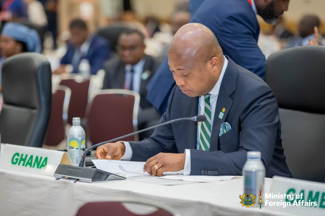 President’s Japan Visit Secures $100M Investment For Agriculture – Okudzeto Ablakwa